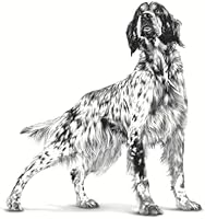 Royal Canin Veterinary Hypoallergenic 7 kg — Bild 2