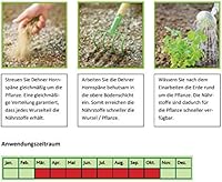 Dehner Bio Hornspäne 5 kg — Bild 4