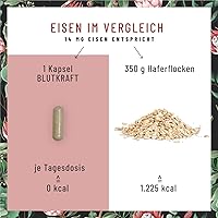 NATURTREU Eisen Komplex 120 Kapseln — Bild 3