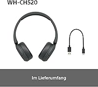 Sony WH-CH520 — Bild 9
