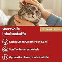 Doppelherz Haut und Fell Complex Katzen 250g — Bild 5