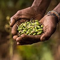 Pfefferdieb Wilder Grüner Kardamom ganz 100g — Bild 3