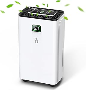 JYMIPA D015R2F-12L Luftentfeuchter Test & Bewertung