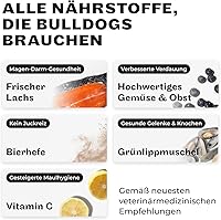 HEY HOLY Trockenfutter Bulldogge Lachs 7 kg — Bild 4