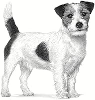 Royal Canin Veterinary Gastrointestinal Low Fat Small Dog 1,5 kg — Bild 3