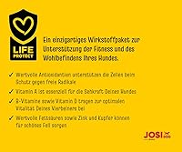 JosiDog Adult Sensitive 15 kg — Bild 3