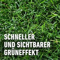 COMPO Rasen-Langzeitdünger 20 kg — Bild 7