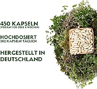 RheinNatur Bio Flohsamenschalen Kapseln 450 Stk — Bild 3