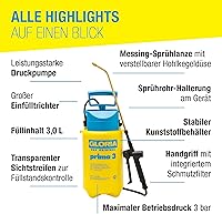 Gloria prima 3 — Bild 3