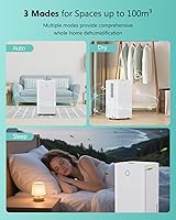 TOIOVCU Luftentfeuchter 12L/Tag — Bild 6