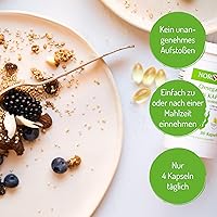 NORSAN Premium Omega 3 Vegan Kapseln 2x80 — Bild 3