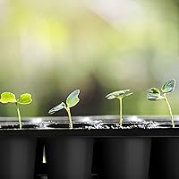 Quickpot Anzuchtplatte 54er Set mit Untersetzer — Bild 5