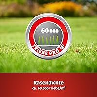 WOLF-Garten Sport- & Spielrasen LG 125 (2,5 kg) — Bild 7