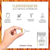 NATURTREU Flammengrade Weihrauch Kurkuma Kapseln 90 Stück — Bild 3