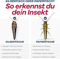 Gerobug Silberfischfalle 12er-Pack — Bild 7