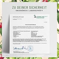 NATURTREU Toleranzschatz DAO Enzym Komplex 60 Kapseln — Bild 6