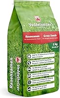 Veddelholzer Rasensamen Dürreresistent 1 kg — Bild 1