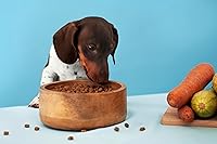 Canina Magen Balance 250 g — Bild 7