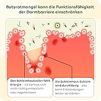 Apriwell Butyzol Natriumbutyrat 60 Kapseln — Bild 5