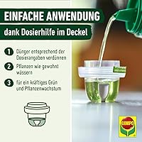 COMPO Grünpflanzen- und Palmendünger 1 l — Bild 4