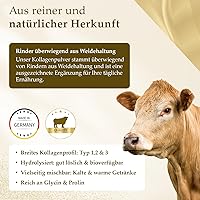 Biotary Kollagen Hydrolysat 700g — Bild 7