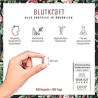 NATURTREU Eisen Komplex 120 Kapseln — Bild 6