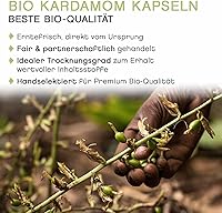 Pfefferdieb Wilder Grüner Kardamom ganz 100g — Bild 6