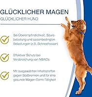 NutriLabs Acid Protect Kautabletten Hund 100 St — Bild 3