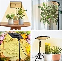 MICCYE KJX-12T-01 Pflanzenlampe mit Ständer — Bild 7