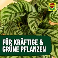 COMPO Grünpflanzen- und Palmendünger 1 l — Bild 8