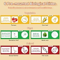 Ashfly inskam382 — Bild 4