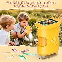 Ashfly inskam382 — Bild 5