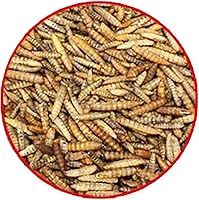 Ambiopet Soldatenfliegenlarven getrocknet 5 kg — Bild 4