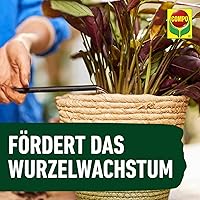 COMPO Grünpflanzen- und Palmendünger 1 l — Bild 7