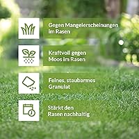 TerraDomi Eisendünger 25 kg — Bild 2