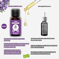 dasXgut Lavendelöl BIO 30 ml — Bild 3