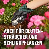 COMPO Rosen Langzeit-Dünger 2 kg — Bild 4