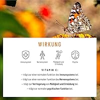 NATURTREU Blütezeit Quercetin Bromelain Komplex 120 Kapseln — Bild 5