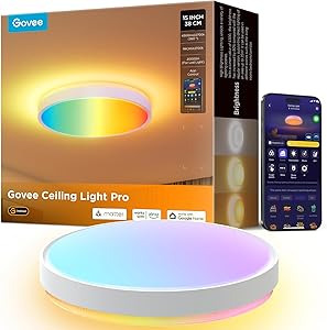 Govee H60A6 RGBICWW Deckenleuchte 38 cm Test & Bewertung