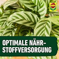COMPO Grünpflanzen- und Palmendünger 1 l — Bild 6