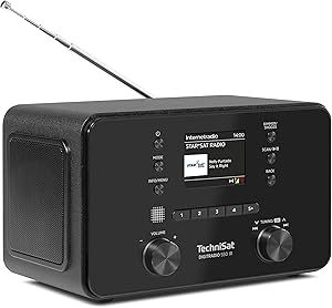 TechniSat DIGITRADIO 550 IR Test & Bewertung