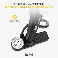 DANSI Standpumpe 44306 — Bild 4