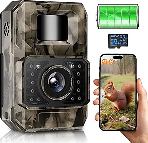 MAXDONE PH960W Test & Bewertung