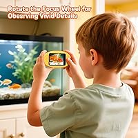 Ashfly inskam382 — Bild 9