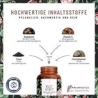 NATURTREU Eisen Komplex 120 Kapseln — Bild 2