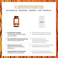 NATURTREU Flammengrade Weihrauch Kurkuma Kapseln 90 Stück — Bild 6