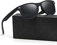 Generisch Polarisierte Retro-Sonnenbrille UV400 — Bild 1