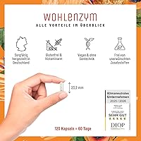 NATURTREU Wohlenzym Enzym Komplex 120 Kapseln — Bild 4