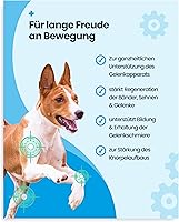 PawVital Gelenktabletten Hund 180g — Bild 3