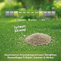 Terra Domi Rasendünger NPK 15-15-15 25 kg — Bild 5